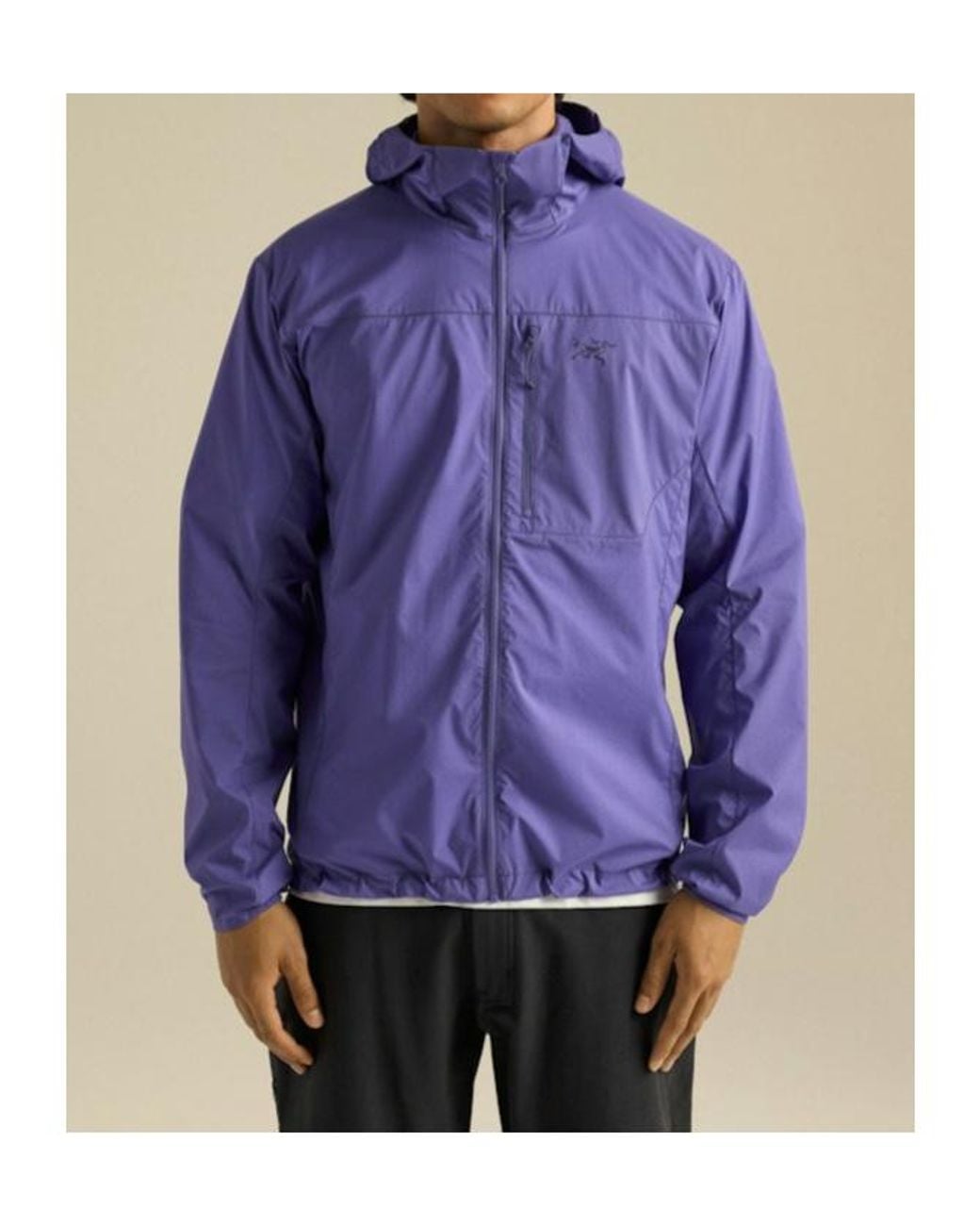 Arc'teryx Purple Squamish Hoody for men