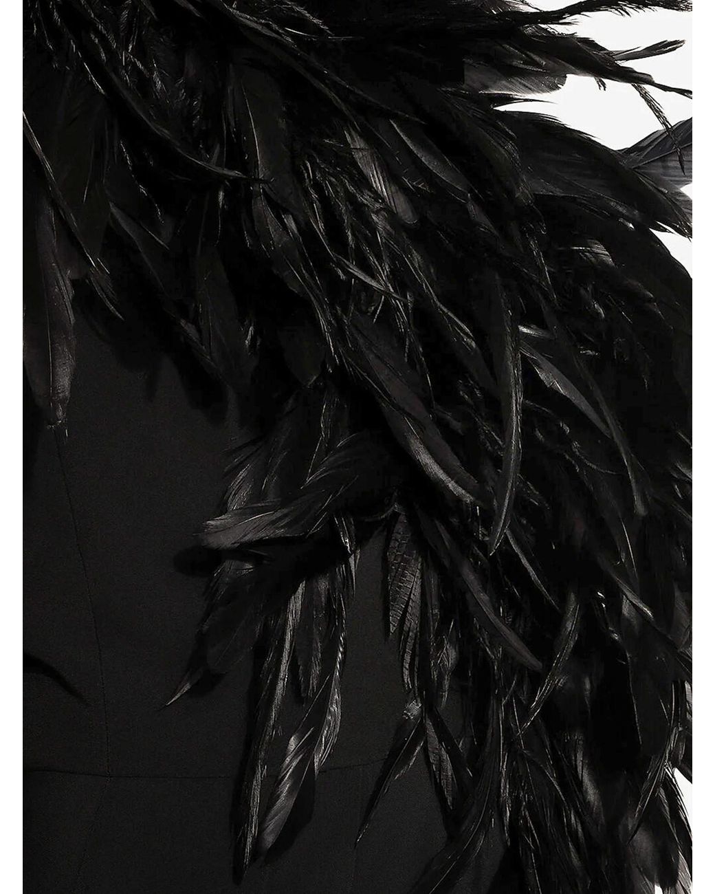 Dolce & Gabbana Black One-Shoulder Feathered Gown