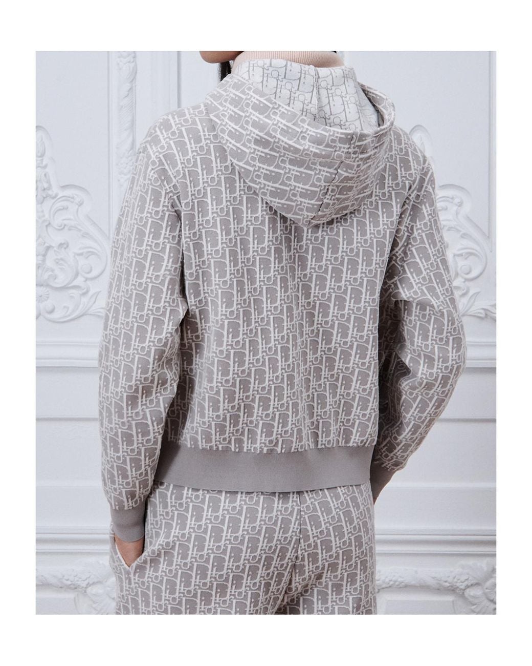 Dior Gray Alps Oblique Hooded Zipped Cardigan