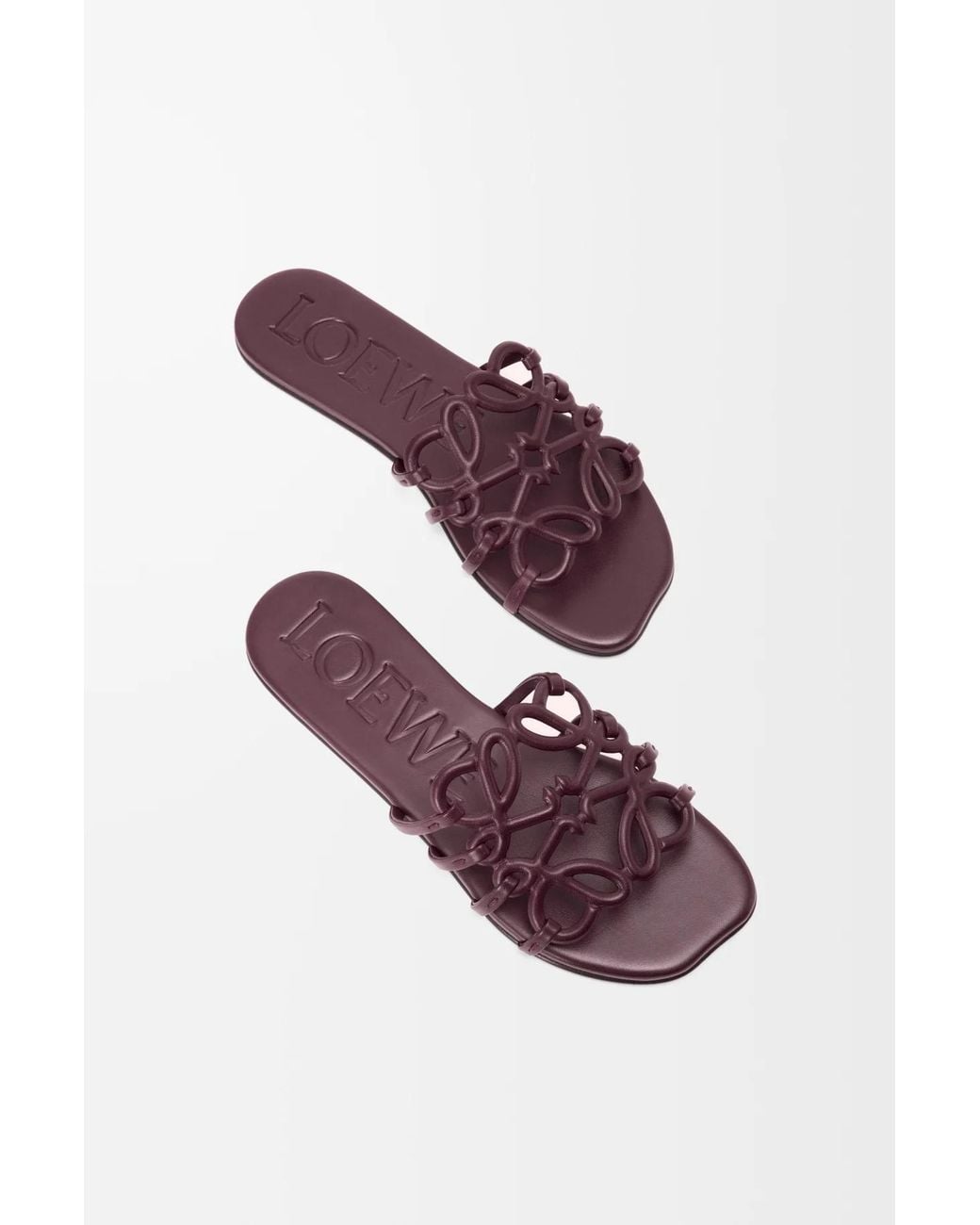 Loewe Purple Petal Anagram Slides