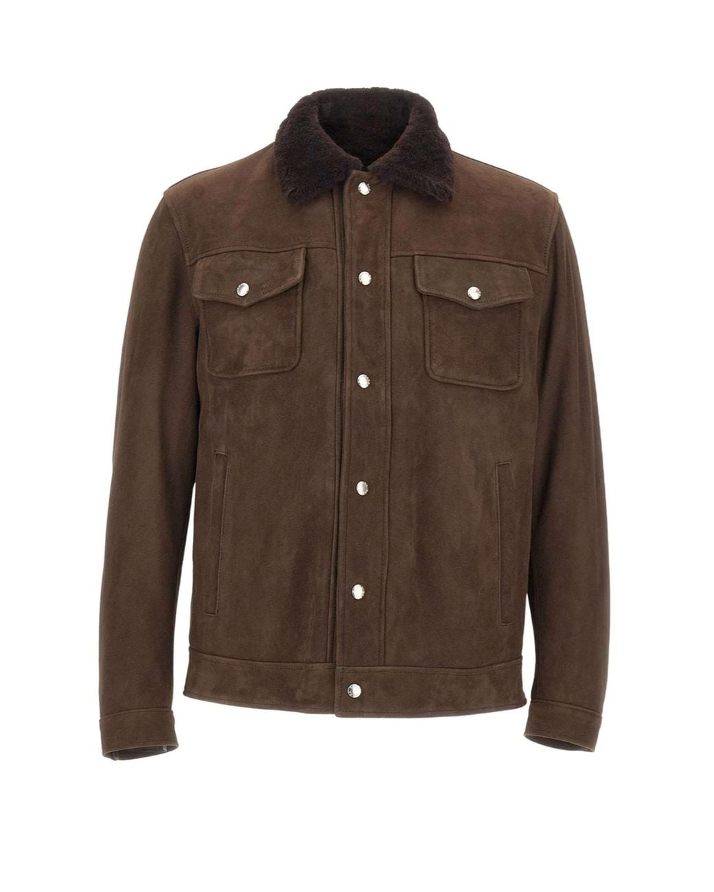 Barba Napoli Brown Sherpa-Collar Suede Jacket for men