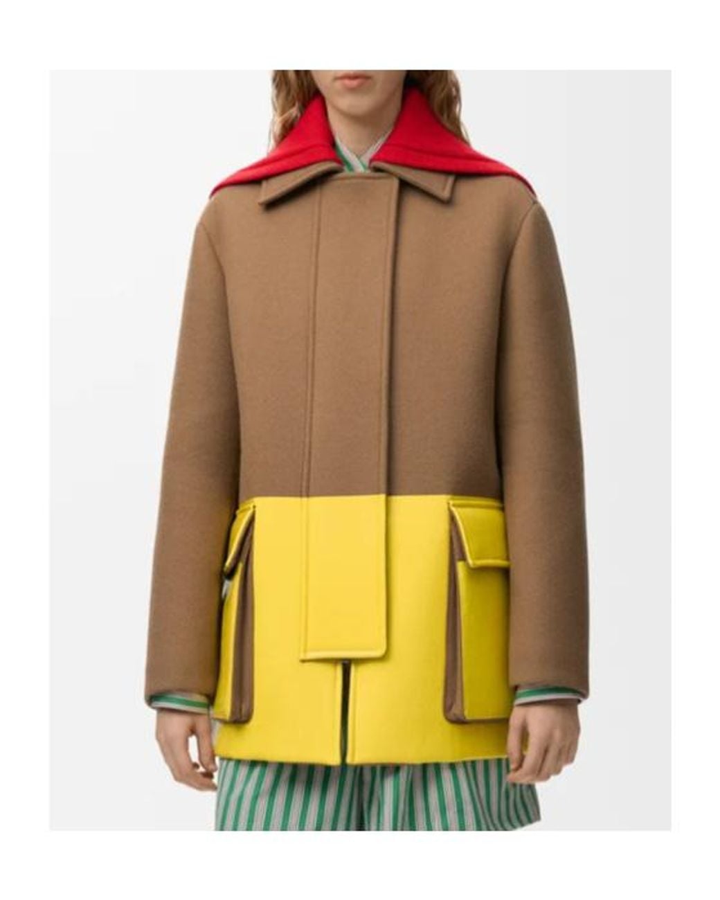 Loewe Yellow Coat