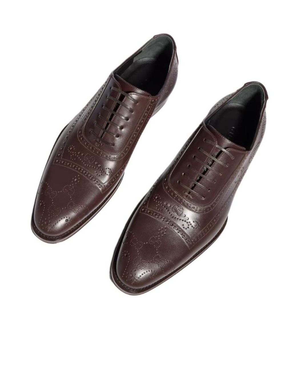 Gucci Brown Lace-Up Shoe for men