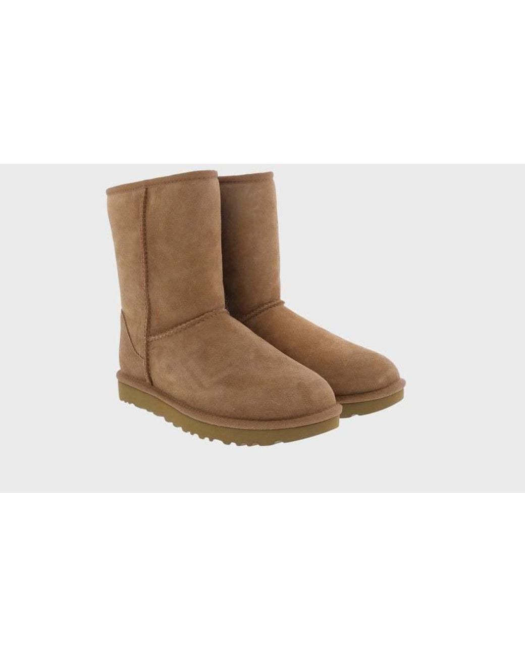 Ugg Brown Logo Boots