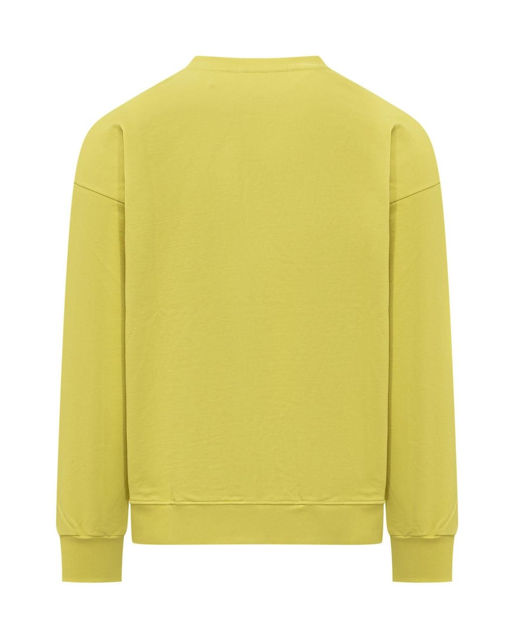 Barrow Yellow Teddy Print Sweatshirt for men