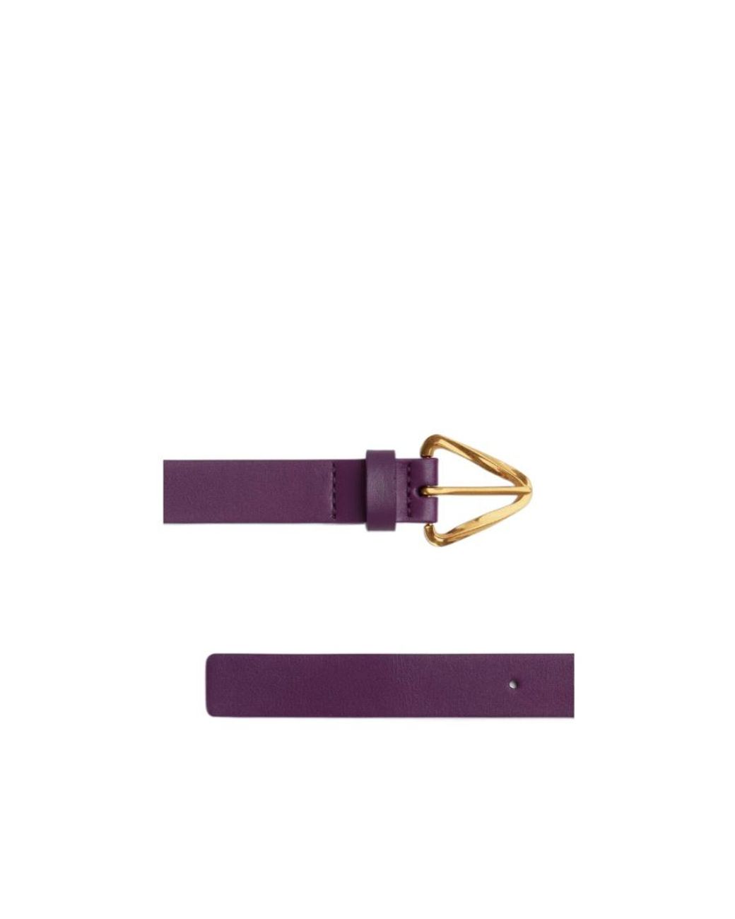 Bottega Veneta Purple Logo Belt