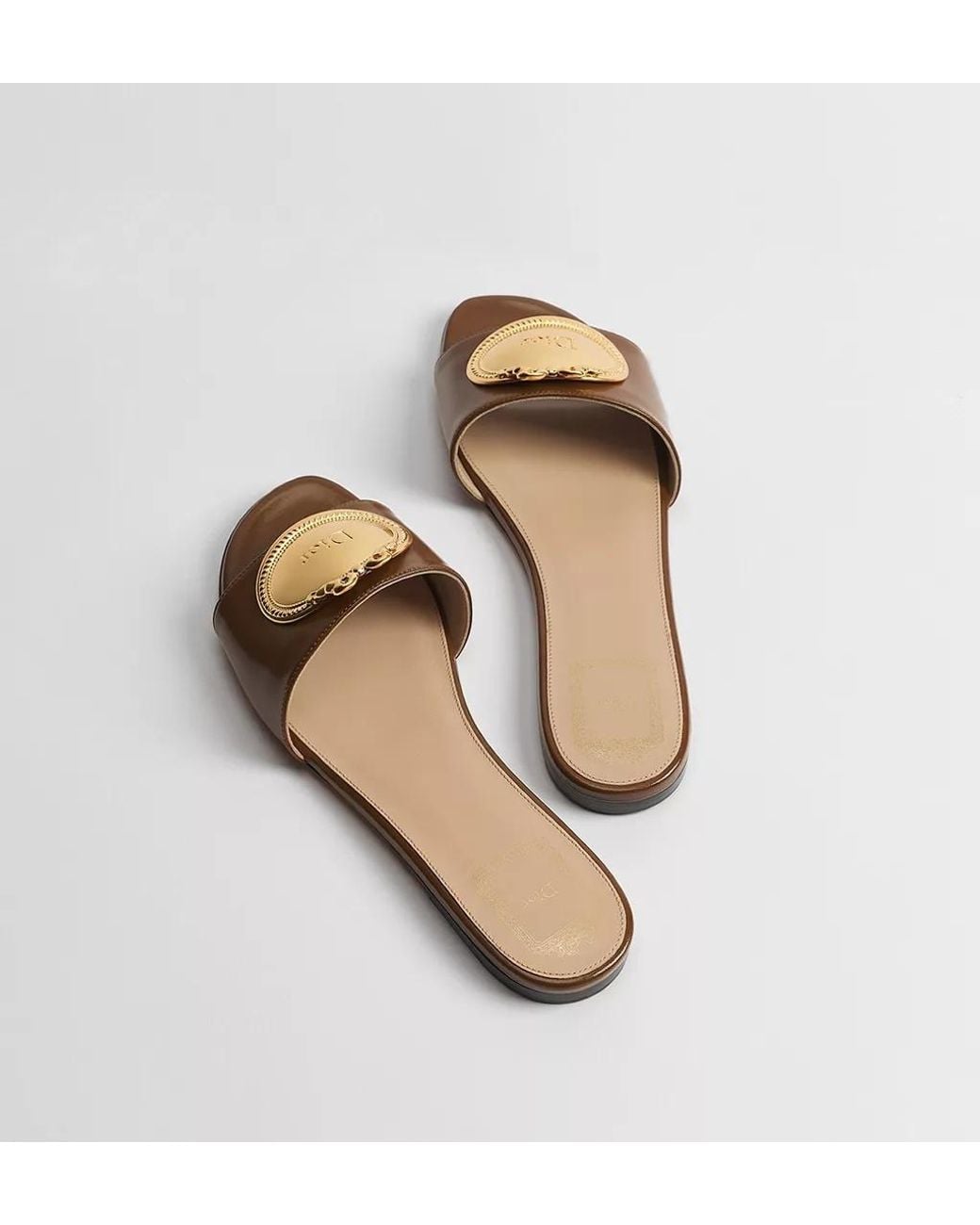 Dior Brown Médaillon Buckle Slide