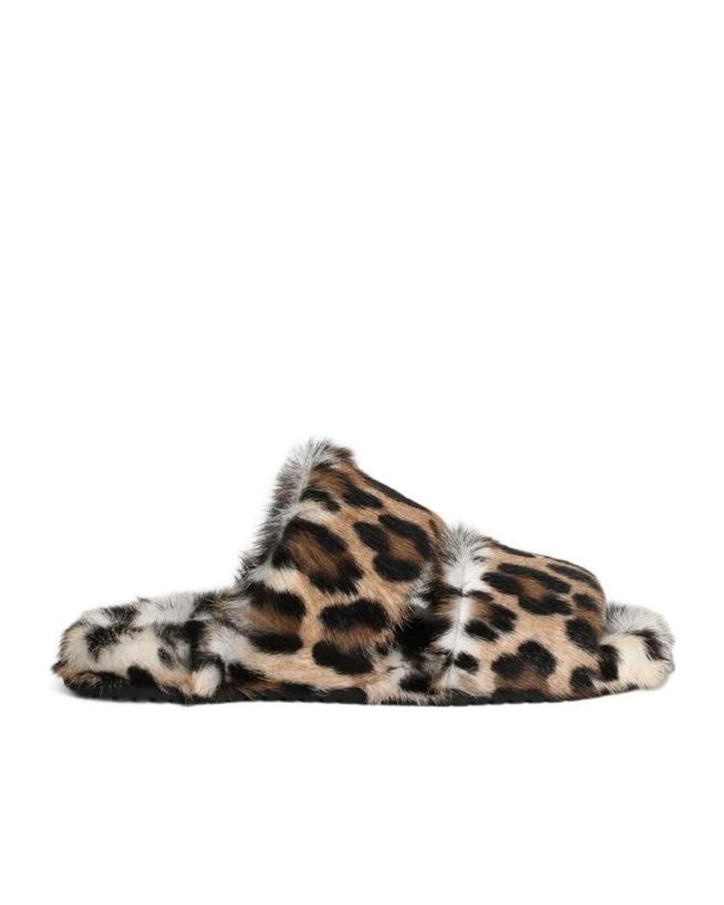 Dolce & Gabbana Brown Leopard Printed Slides