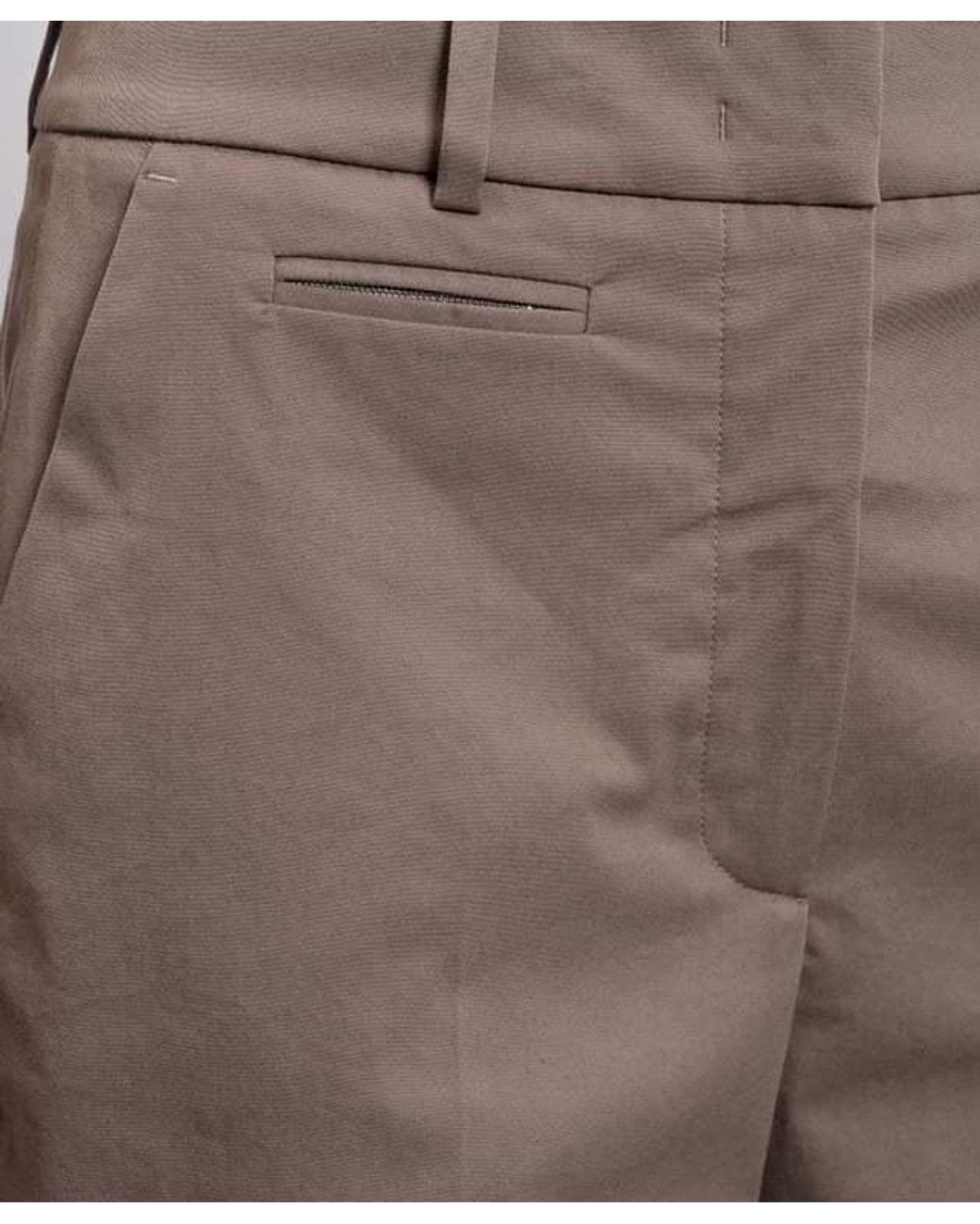 Peserico Brown Straight Chino Pants