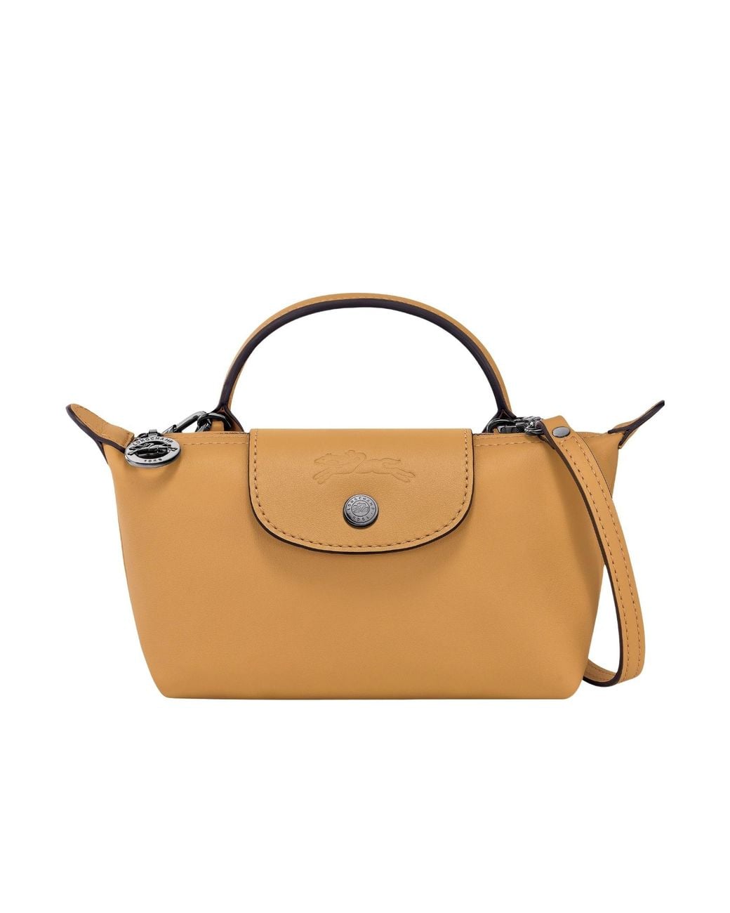 Longchamp Multicolor Le Pliage Xtra Xs Pouch Bag