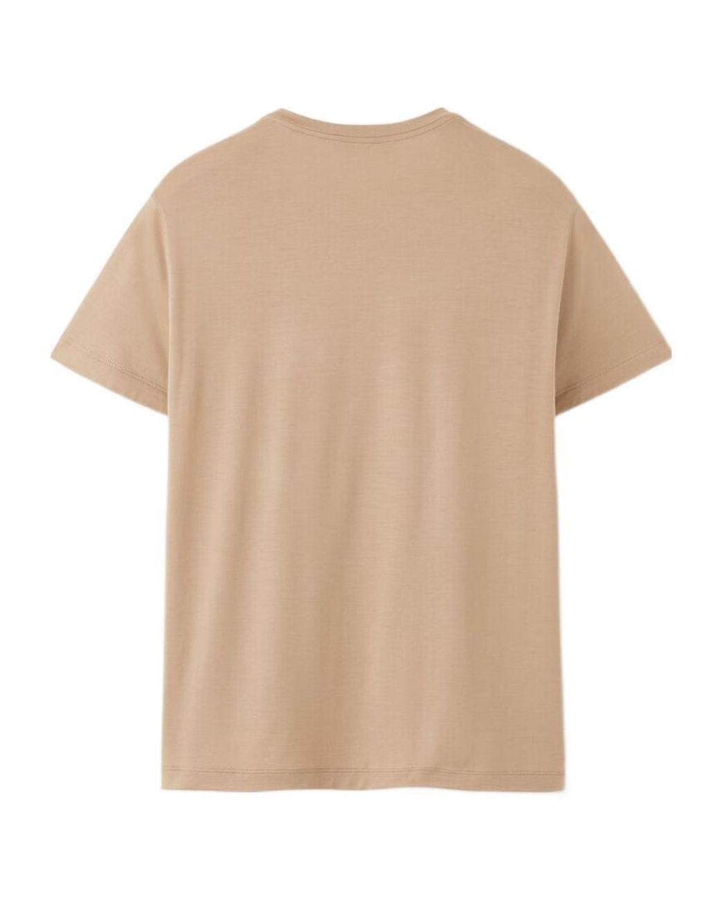 Loro Piana Natural The Gift Of Kings Kim T-Shirt for men