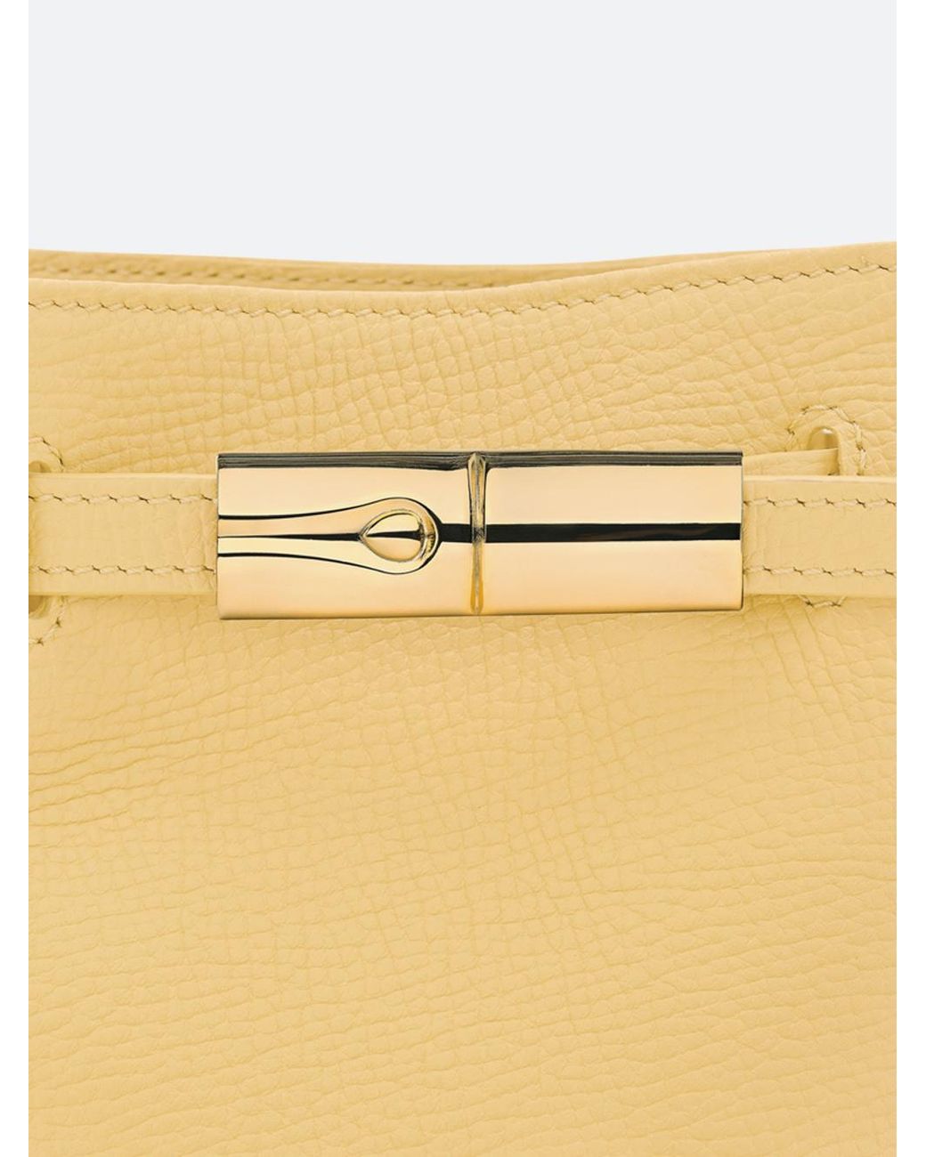 Longchamp Multicolor Le Smart Xs Bucket Bag