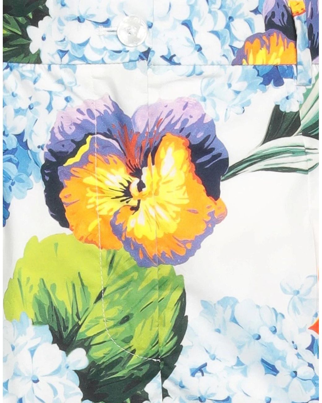 Dolce & Gabbana Blue Floral Print Pants