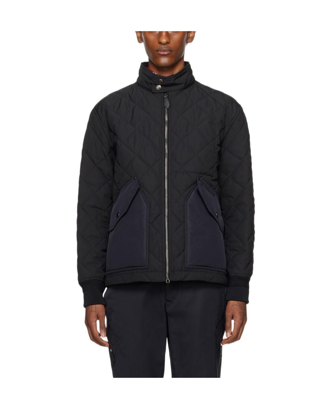 Burberry Blue Radley Cotton Clothes for men