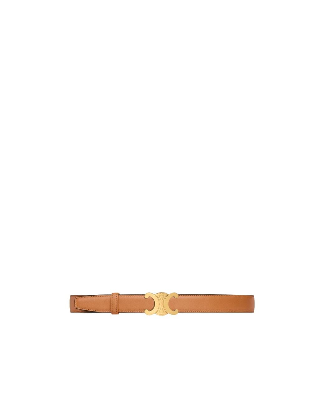 Céline Multicolor Triomphe Buckle 25 Mm Reversible Belt