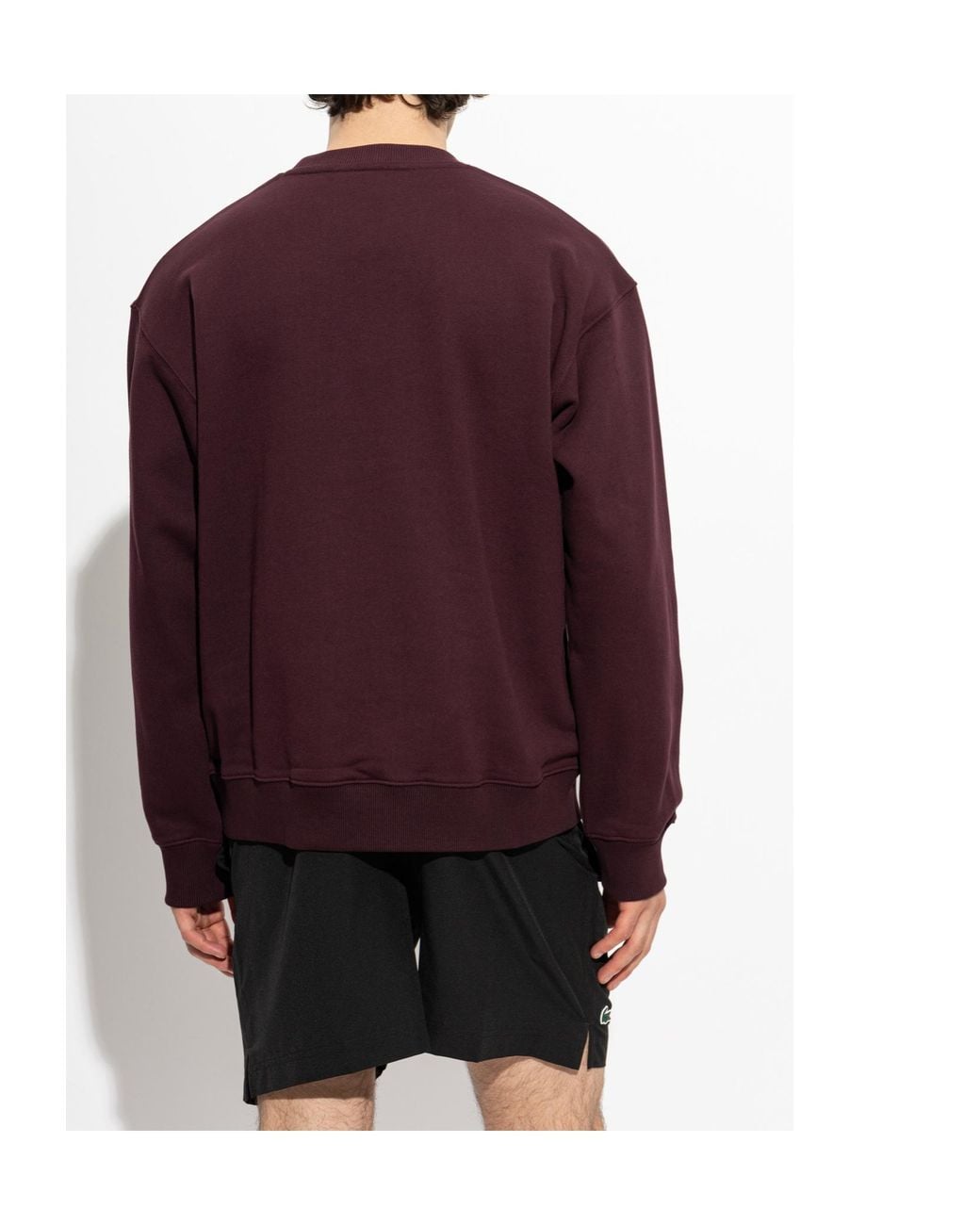 Lacoste Purple Long-Sleeve Sweatshirt for men