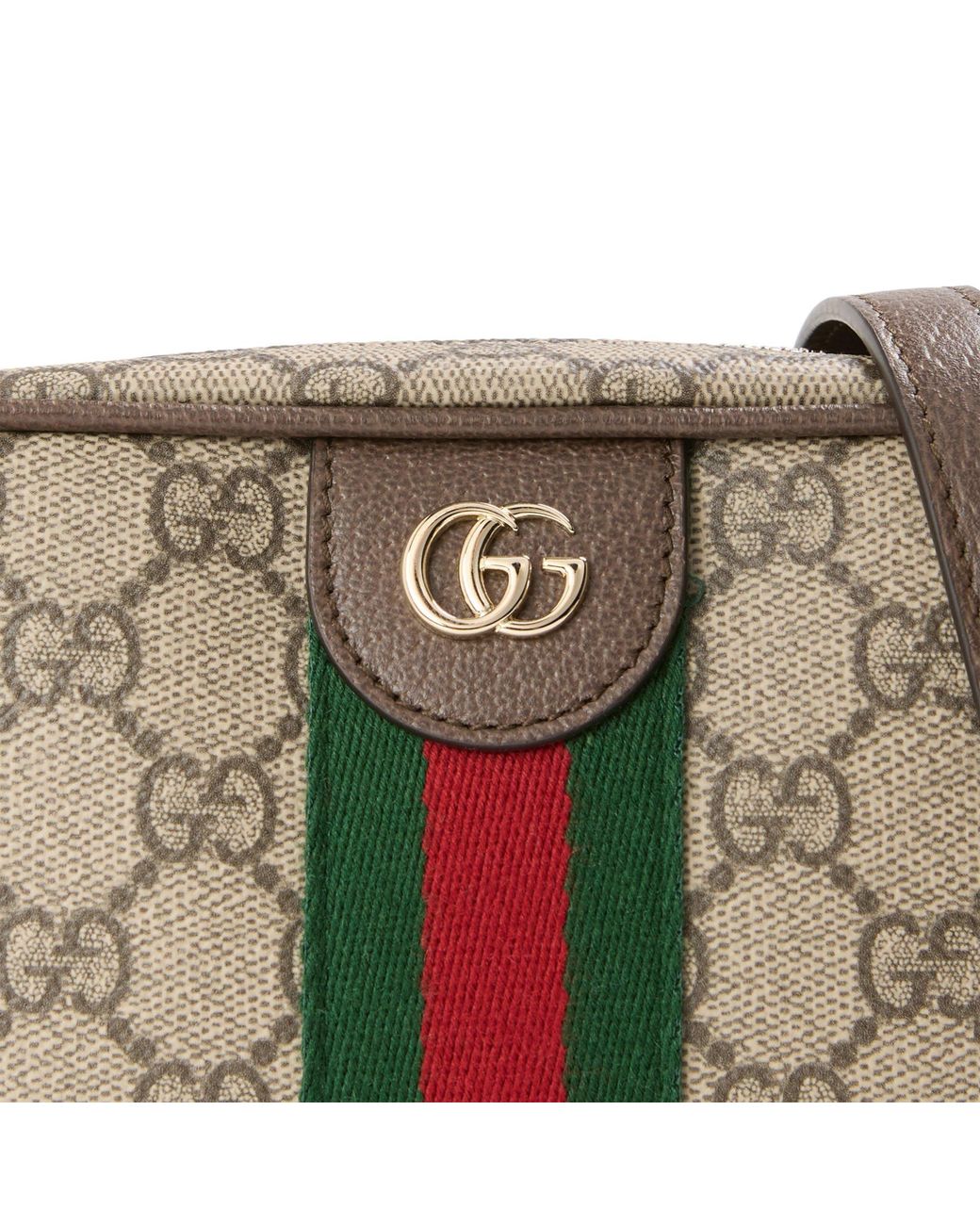 Gucci Multicolor Ophidia Camera