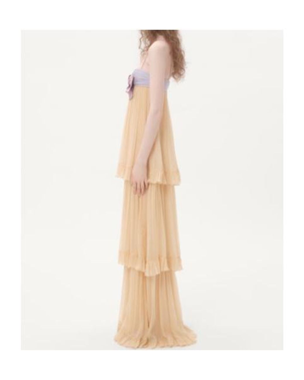 Valentino Natural Embroidered Crepe Chiffon Maxi Dress