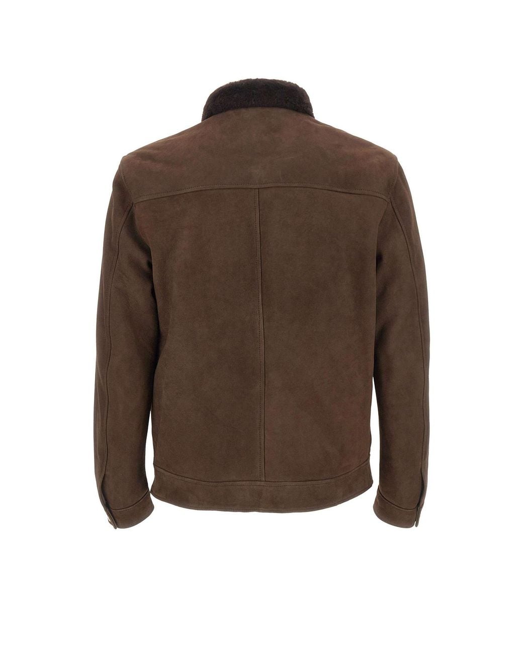 Barba Napoli Brown Sherpa-Collar Suede Jacket for men
