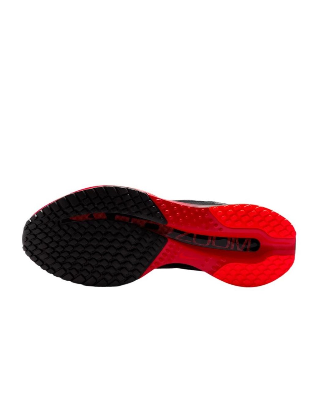 Nike Black Pegasus Premium Running Shoes for men
