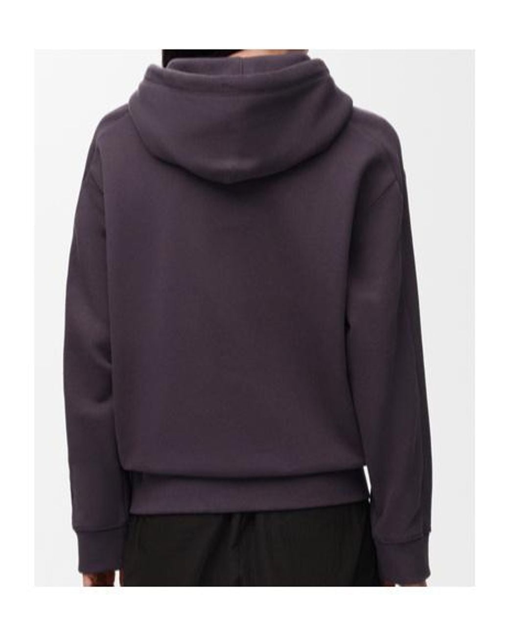 Loewe Purple Hoodie for men