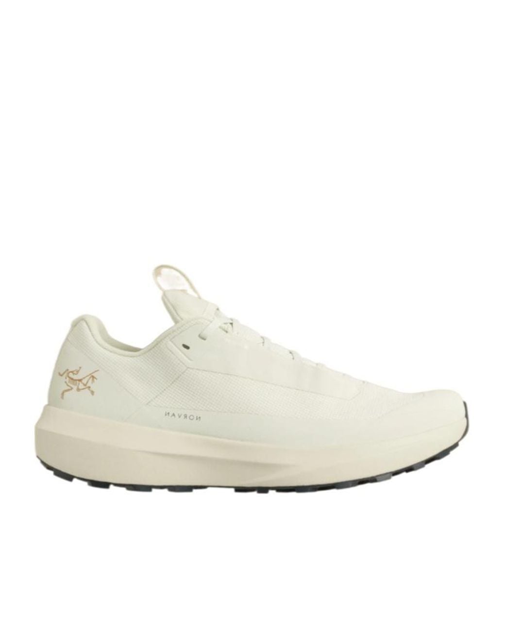 Arc'teryx White Norvan Ld 4 Gtx Shoe for men