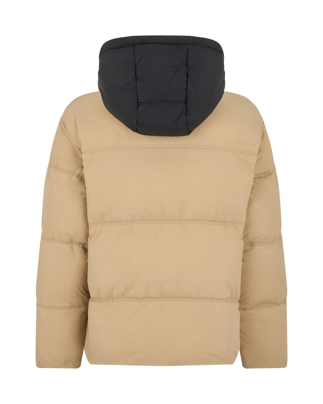 Boss Brown Hooded Padded Down Jacket for men