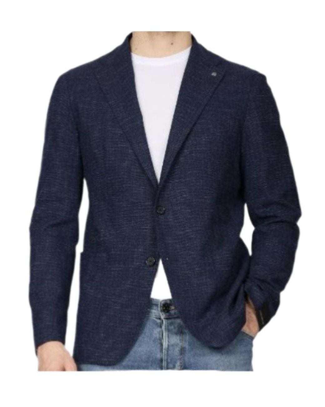 Tagliatore Blue Long-Sleeved Suit Jacket for men