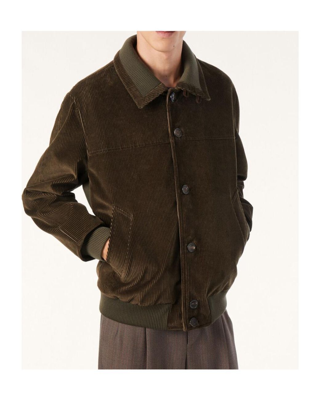 Loro Piana Brown Apos;S Maremma Corduroy Bomber Jacket for men