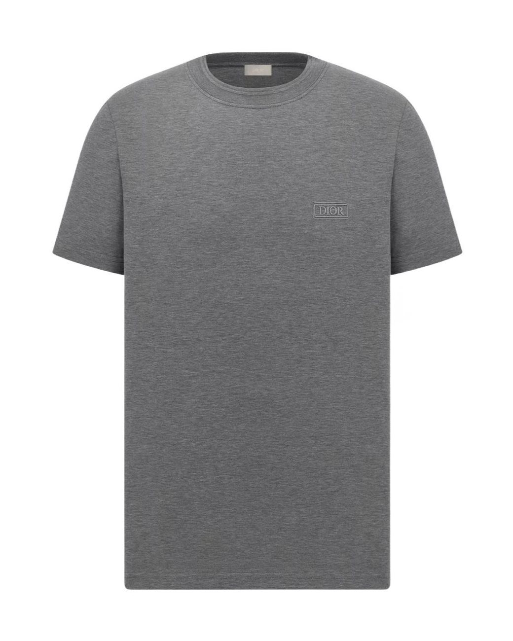 Dior Gray Homme Icons Regular Fit T-Shirt for men