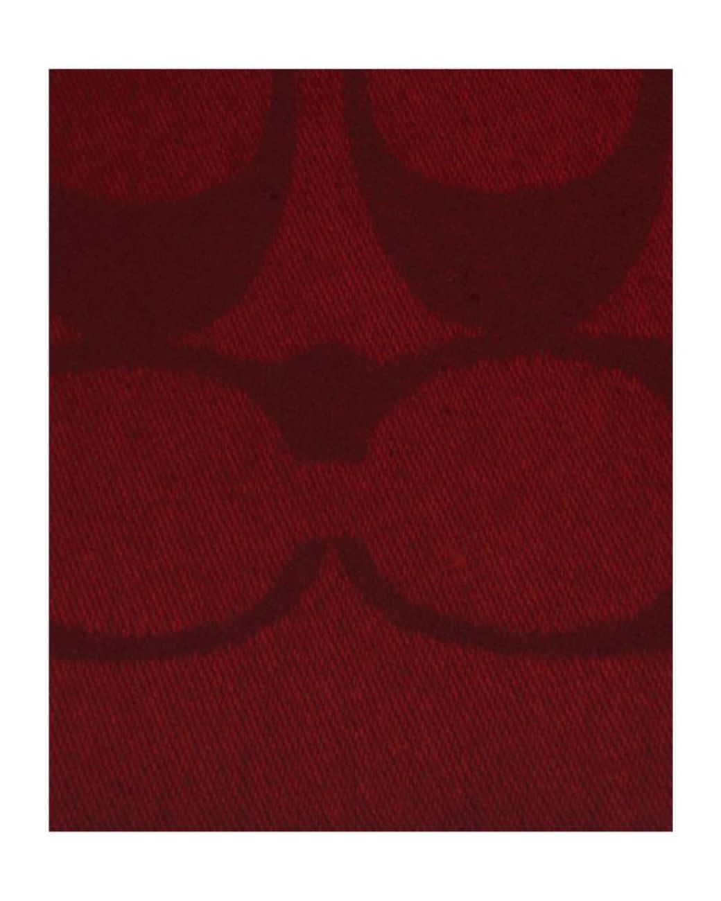 COACH Red Tassel Scarf