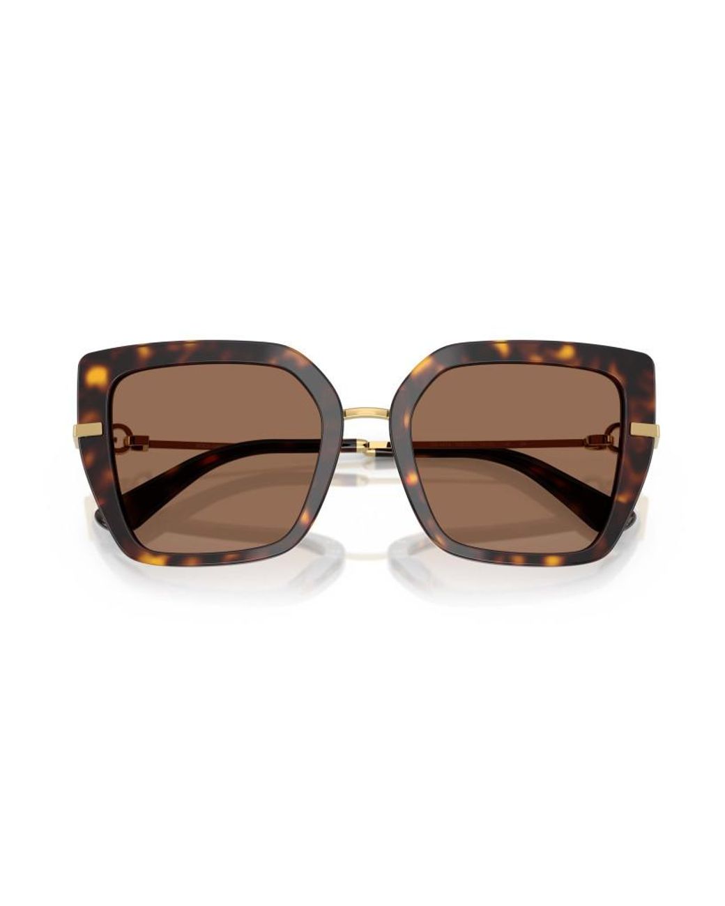 Dolce & Gabbana Brown Eyewear Butterfly Frame Sunglasses