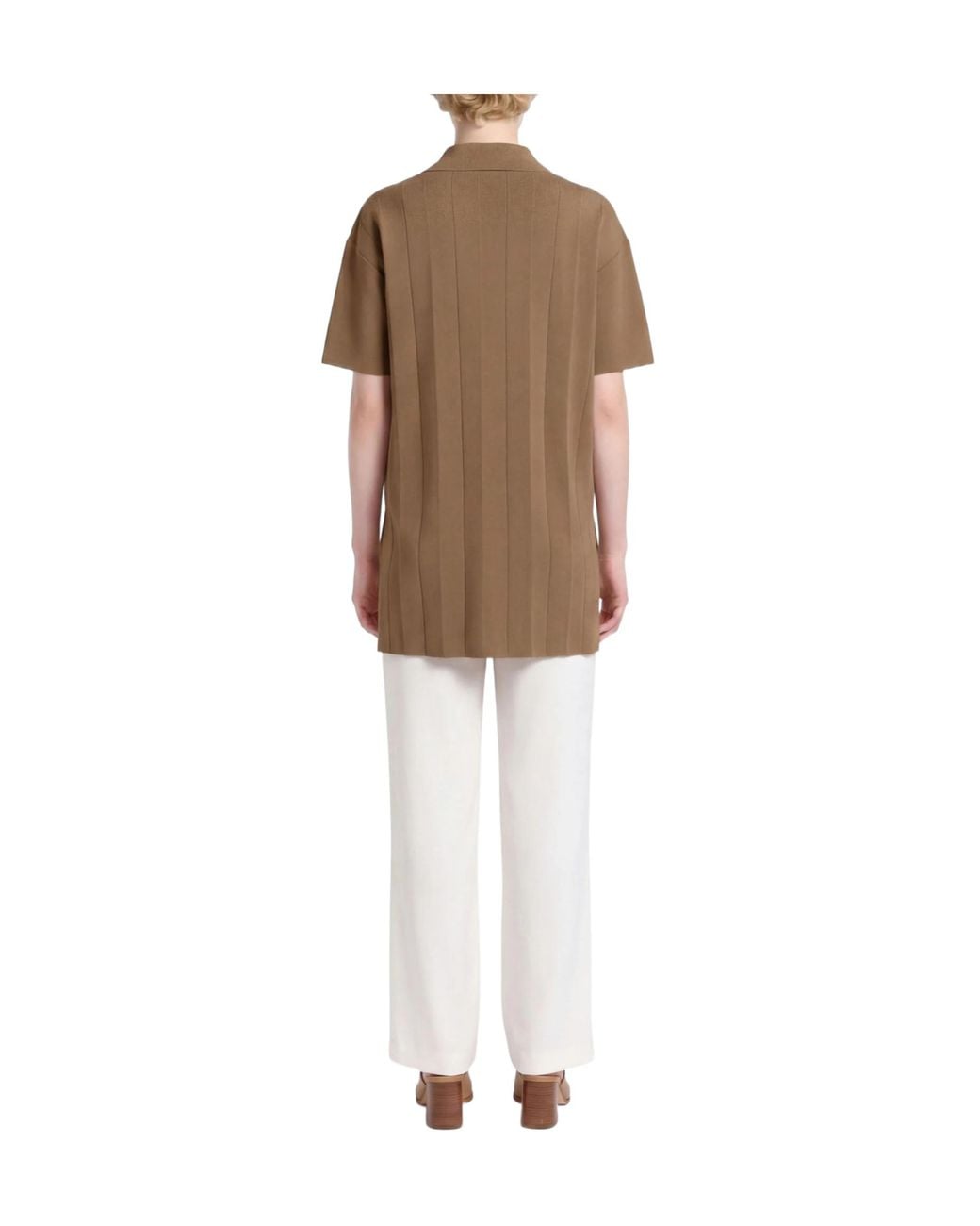 Max Mara Brown Solid-Color Short-Sleeved T-Shirt