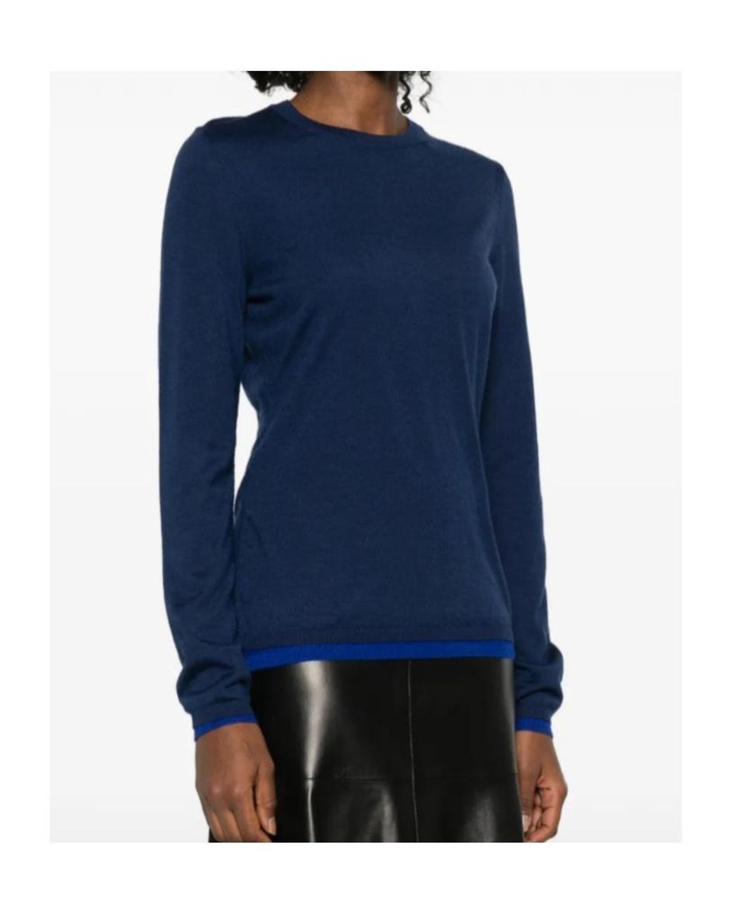 Gabriela Hearst Blue Long-Sleeved Sweater