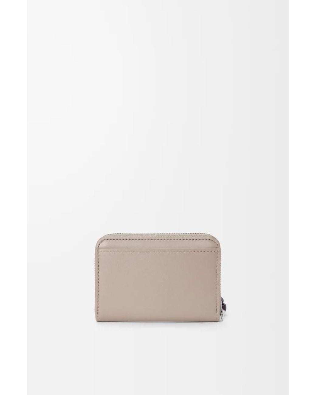 Loewe Multicolor Zipped Coin Purse