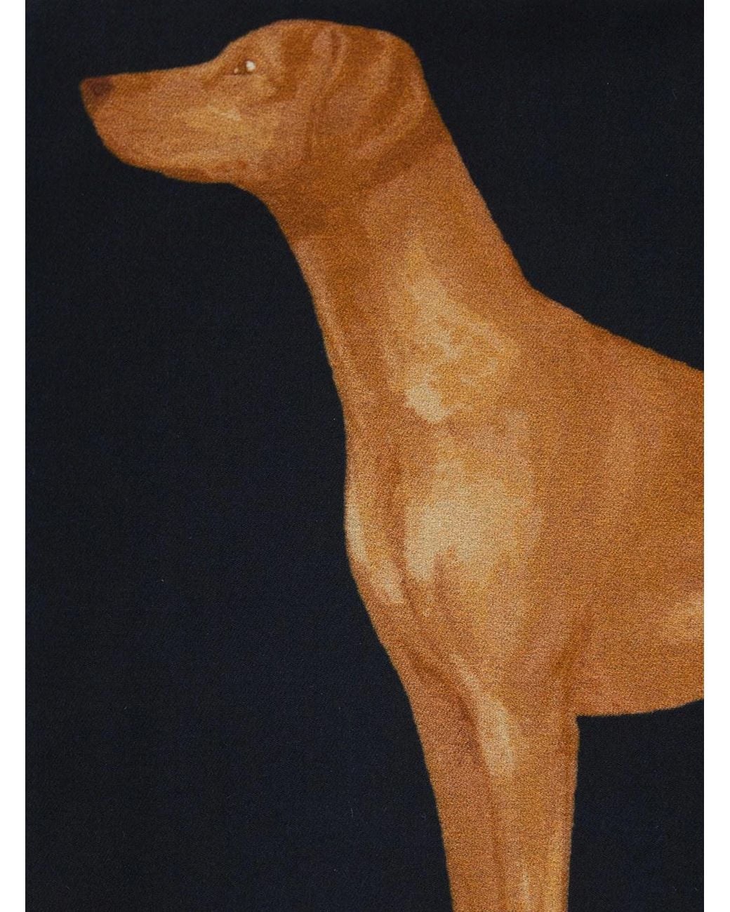 Ralph Lauren Blue Lauren Dog Print Scarf