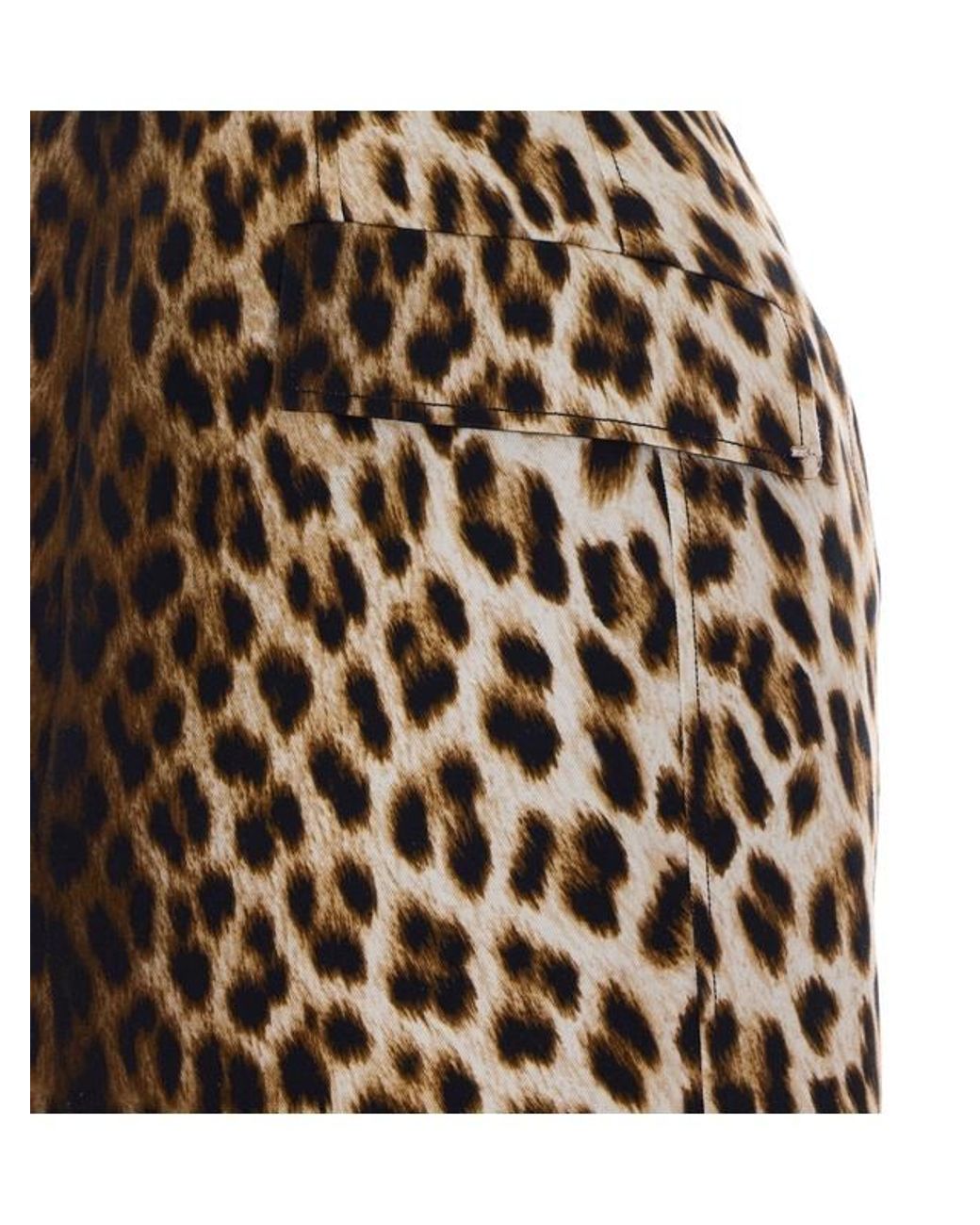 Sportmax Brown Cotton Mini Dress With Animal Print