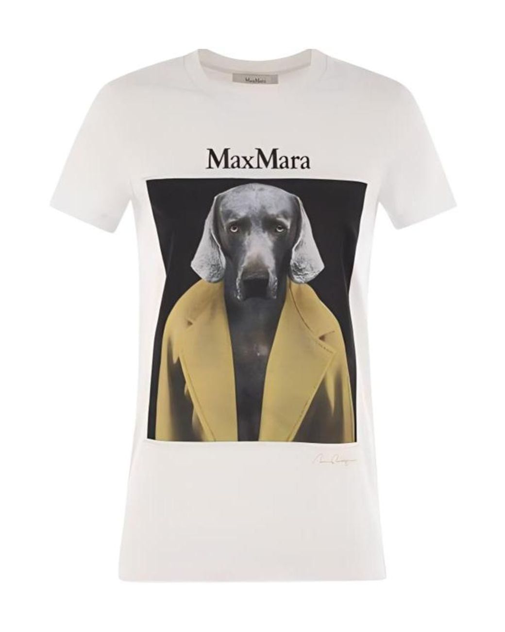 Max Mara White Cipria Graphic Printed Crewneck T-Shirt