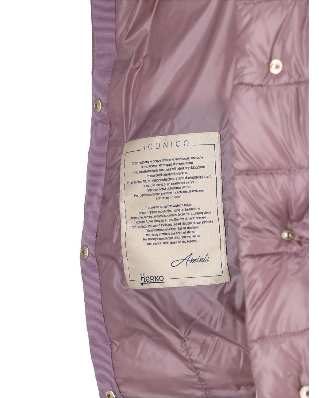 Herno Purple Jackets