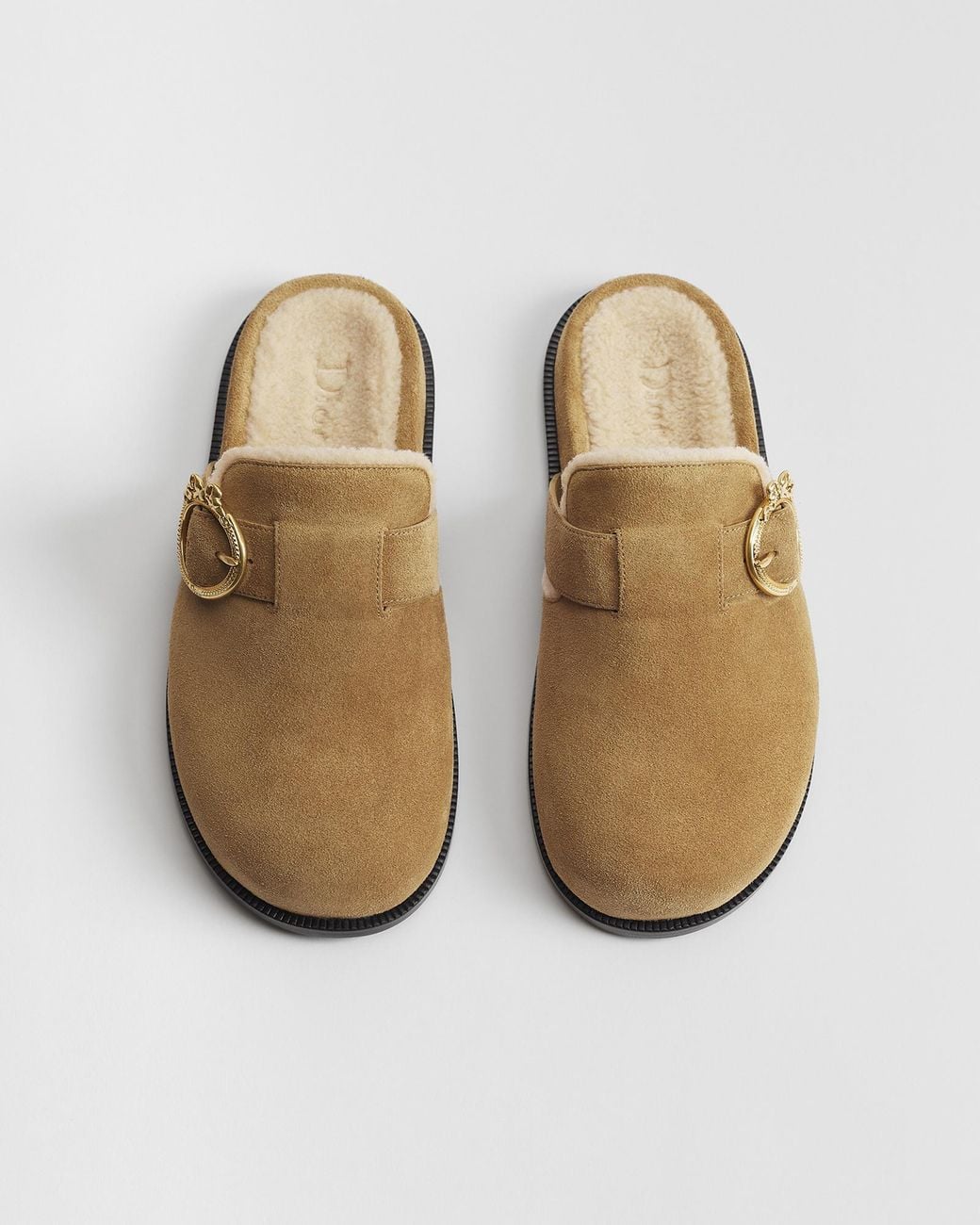 Dior Brown Alps Médaillon Buckle Mule