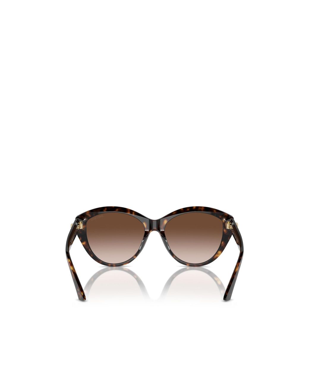 Jimmy Choo Multicolor Eyewear Cat-Eye Frame Sunglasses