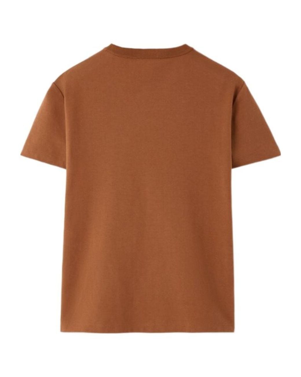 Loro Piana Brown My-T T-Shirt