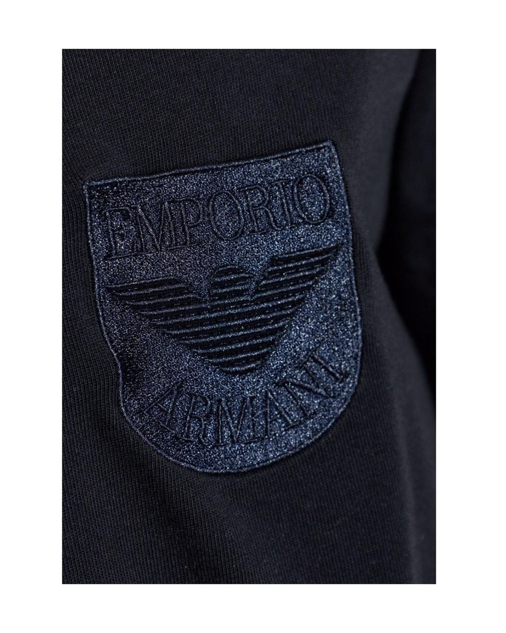 Emporio Armani Blue Logo Embroidered Crewneck T-Shirt for men