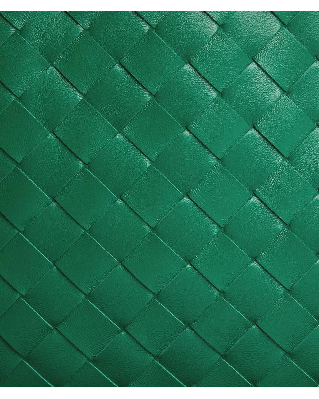 Bottega Veneta Green Dustbag