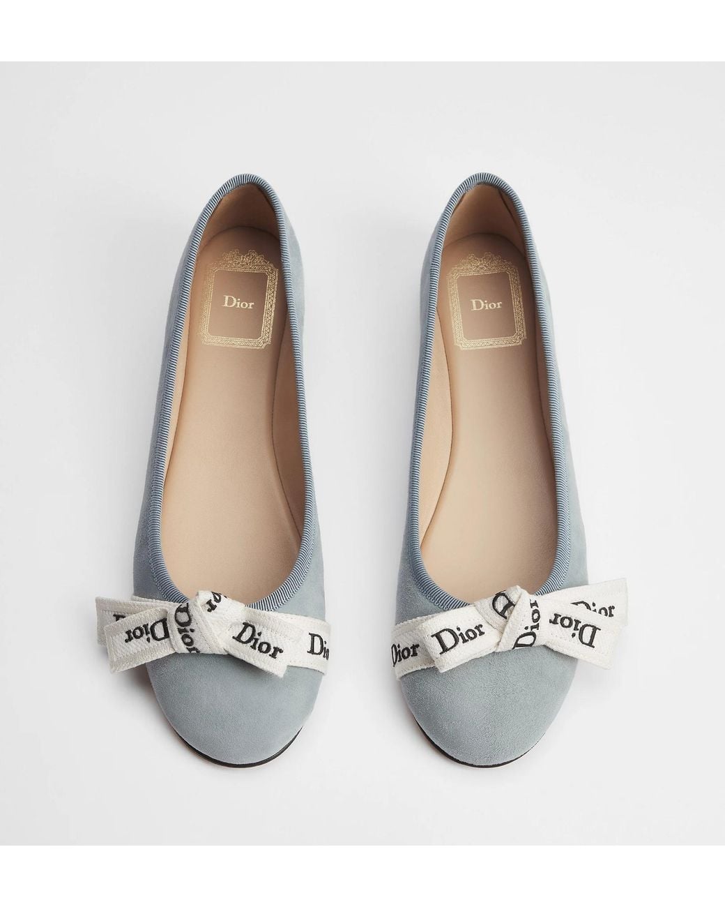 Dior Gray J'A Ballet Flat