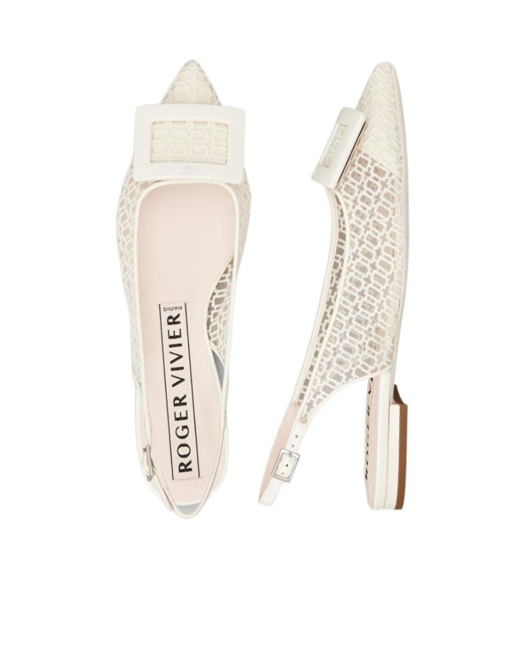 Roger Vivier Natural Pointed-Toe Ballet Flats