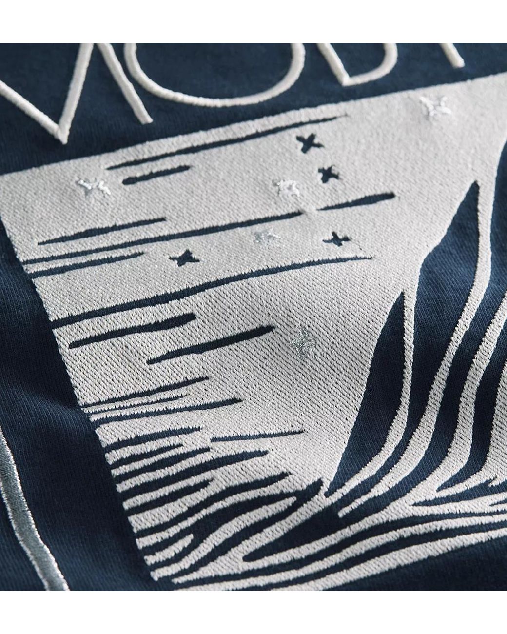 Dior Blue T-Shirt With Book Cover Embroidery And Print, Relaxed Fit for men