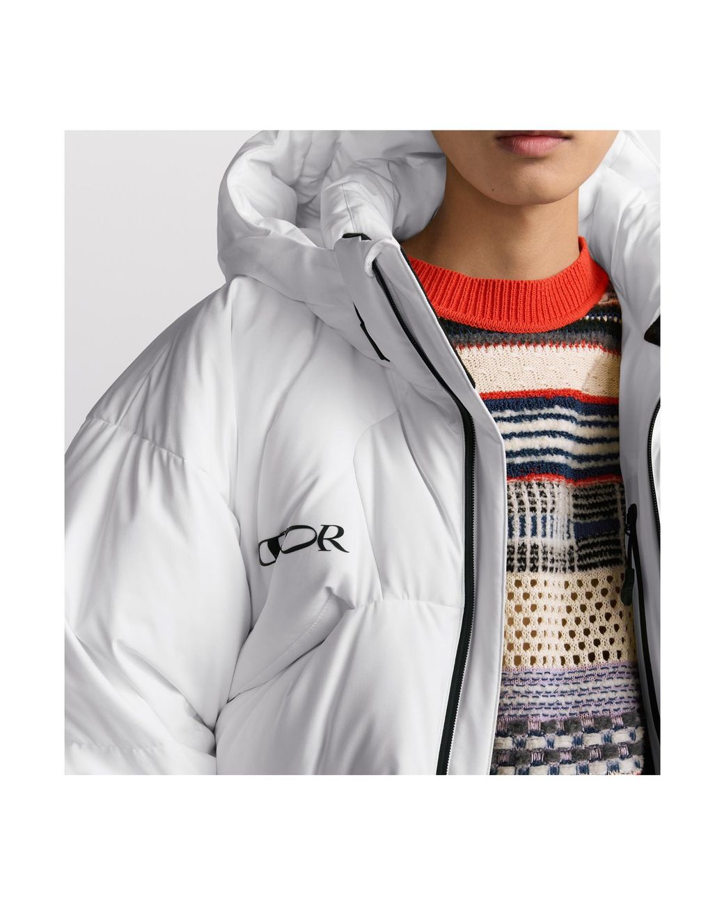 Dior Gray And Descente And Lewis Hamilton Quilted Puffer Ski Jacket for men