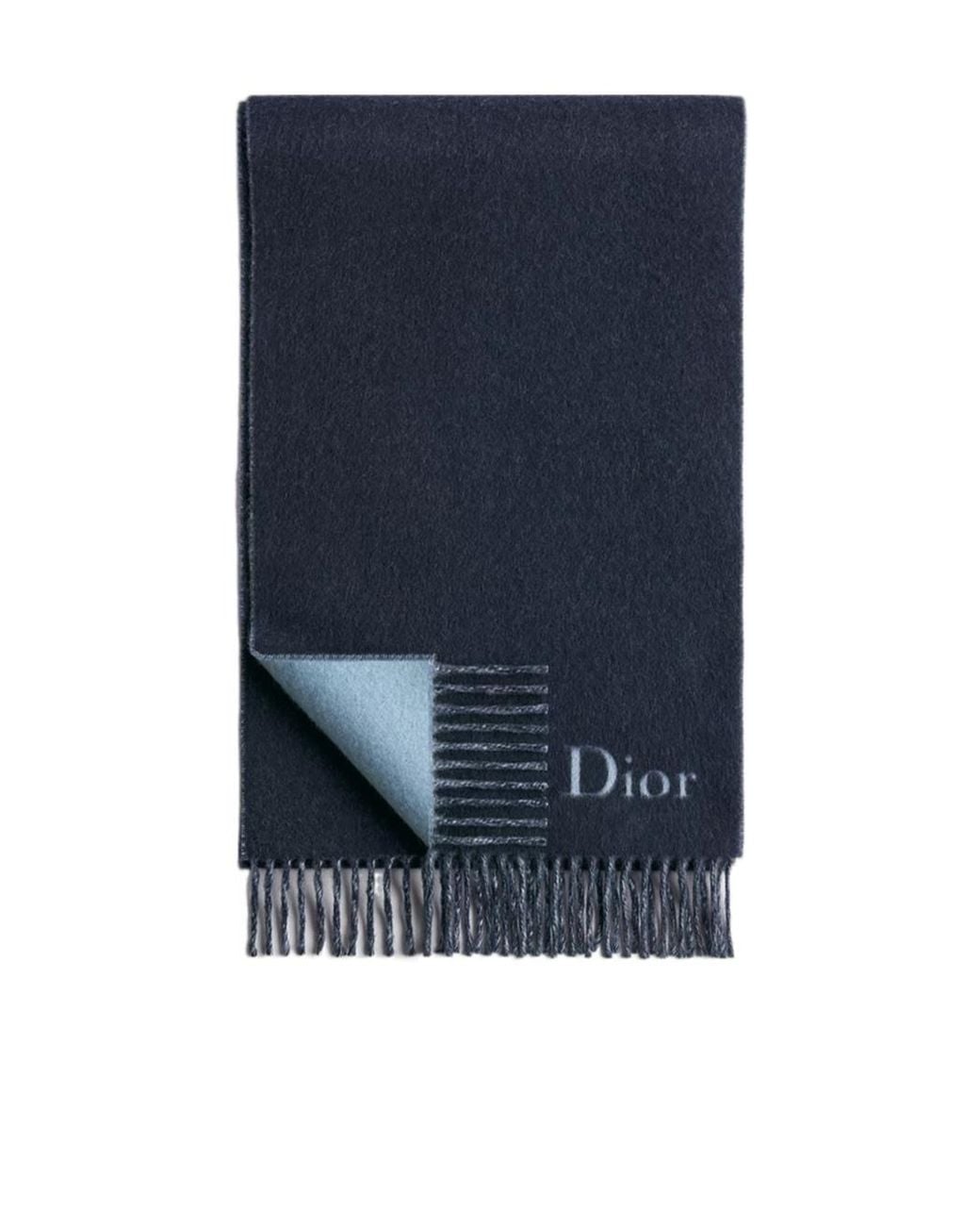 Dior Blue Reversible Fringed Scarf for men