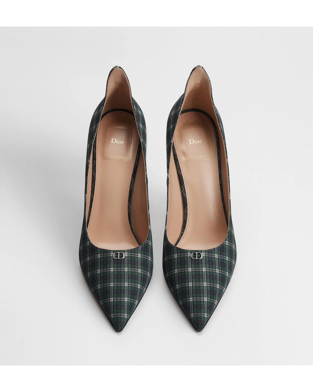Dior Multicolor Wing Pump